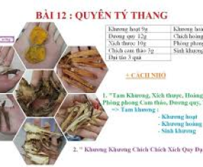 BÀI THUỐC QUYÊN TÝ THANG