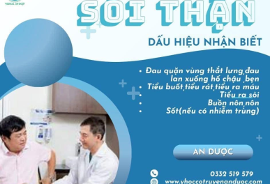 Đông Y Trị Bệnh Sỏi Thận Tại TP HCM An Toàn Hiệu Quả