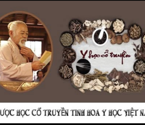 Y Học Cổ Truyền An Dược
